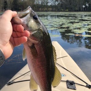 Meet your Posher, Nate